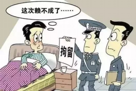 金昌企业清欠服务